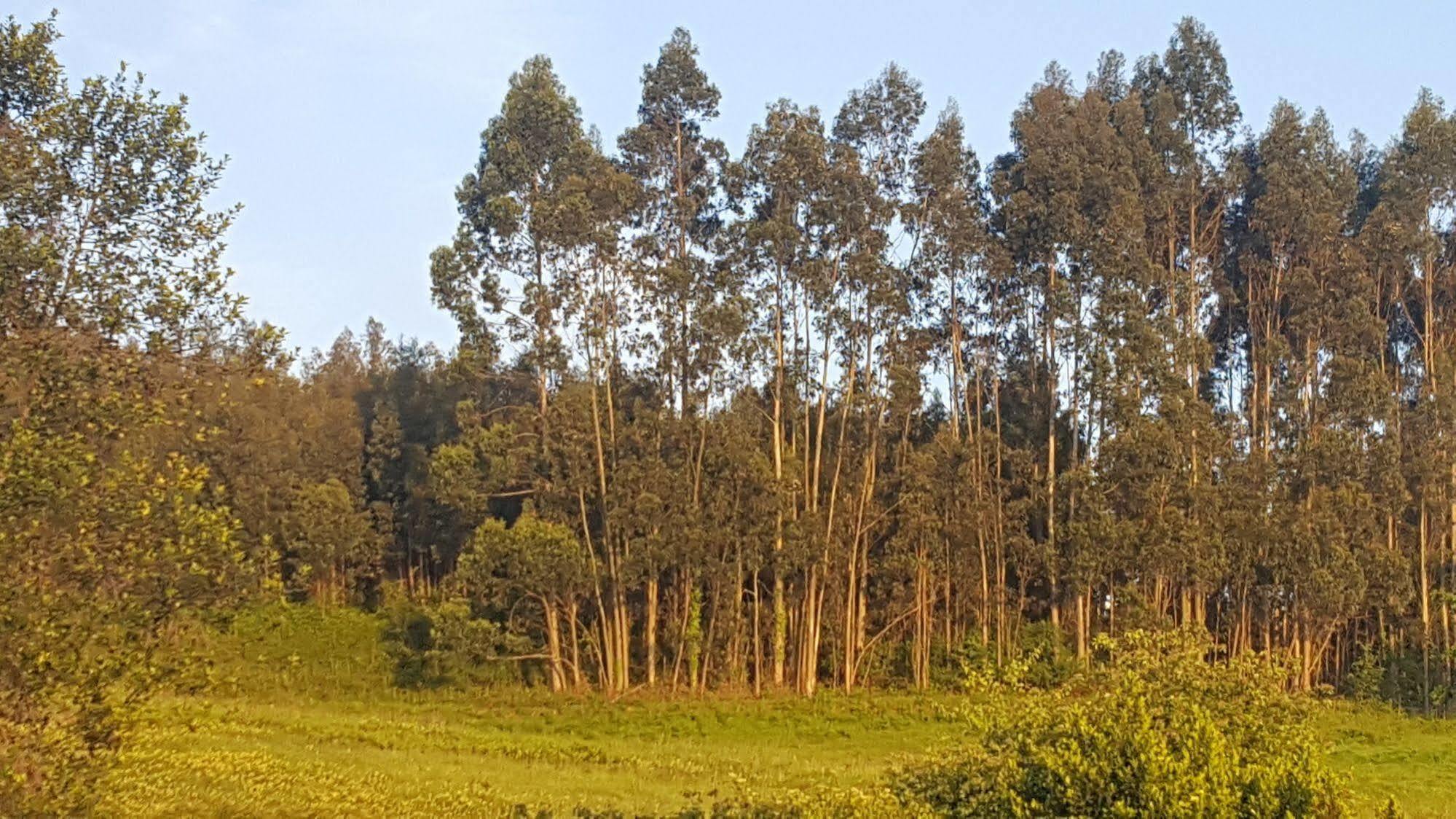 סוטו דל ברקו Hotel Rural Foncubierta מראה חיצוני תמונה