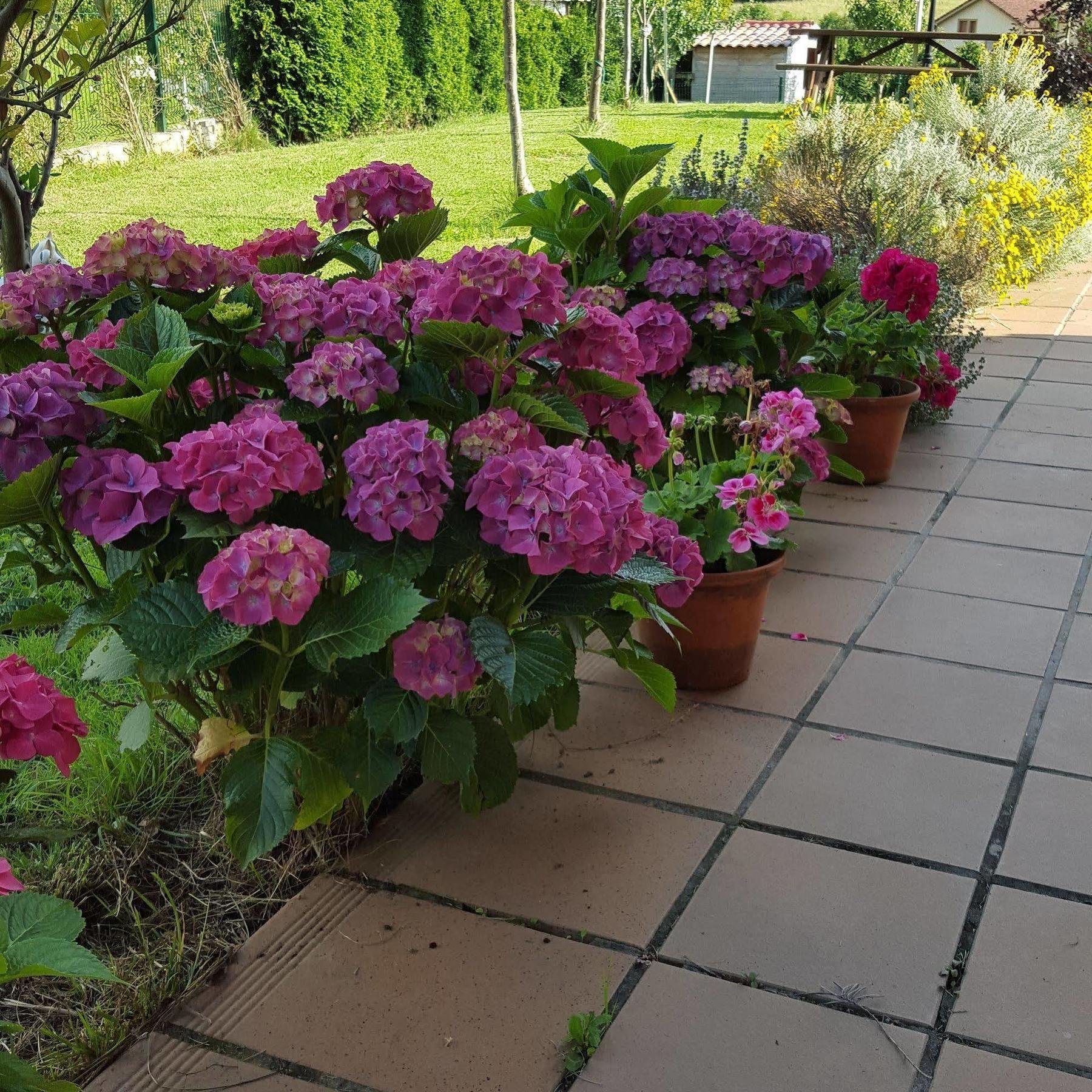 סוטו דל ברקו Hotel Rural Foncubierta מראה חיצוני תמונה