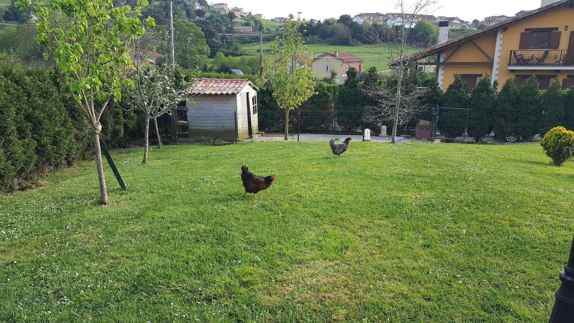 סוטו דל ברקו Hotel Rural Foncubierta מראה חיצוני תמונה