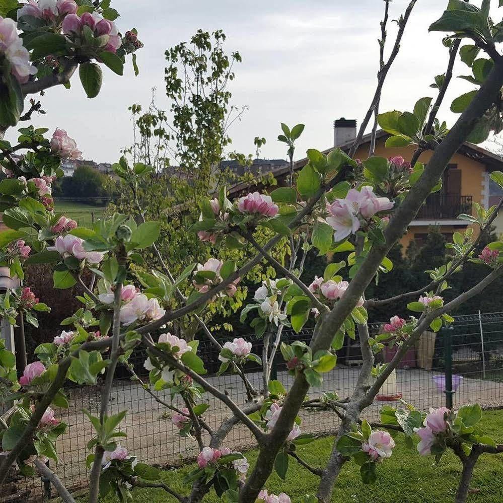 סוטו דל ברקו Hotel Rural Foncubierta מראה חיצוני תמונה